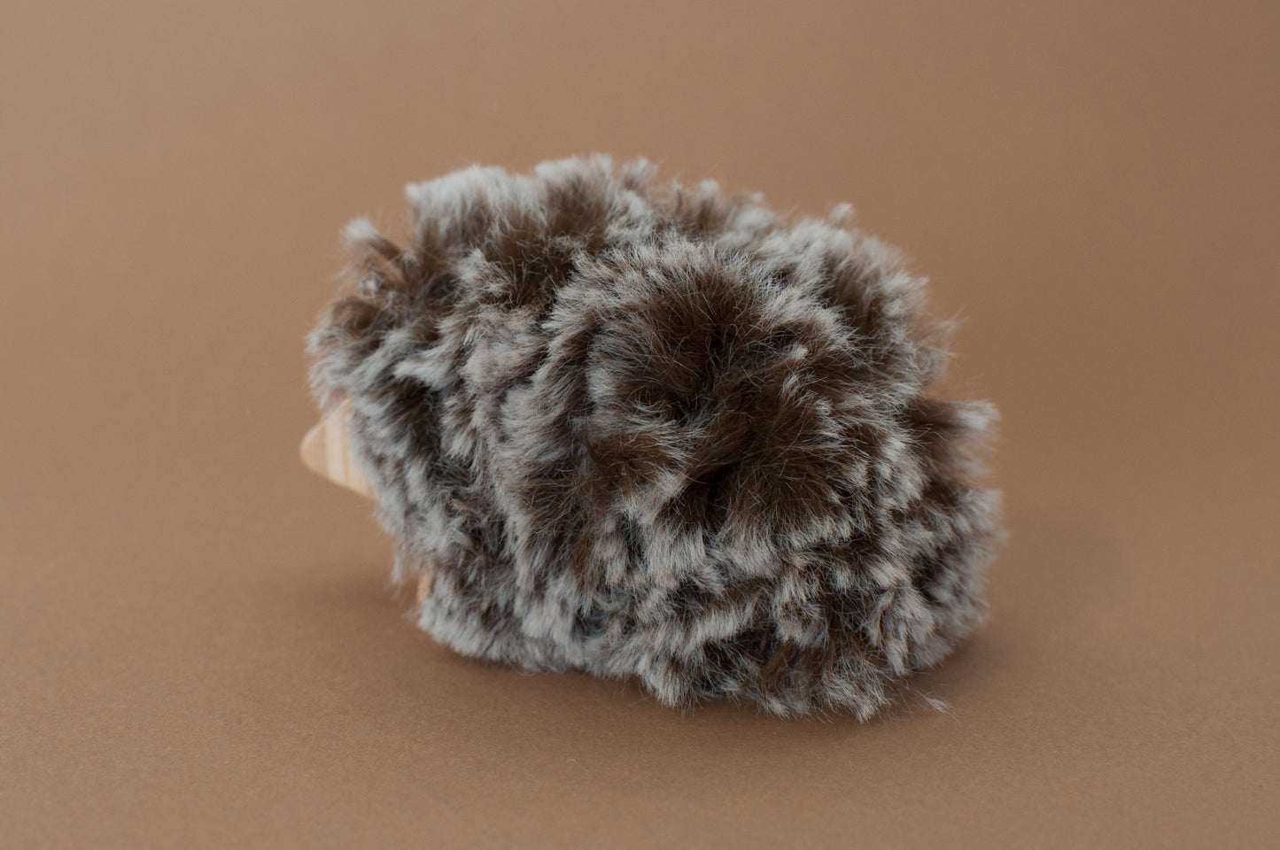 Hedgehog