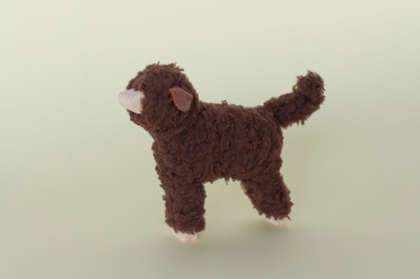 Labradoodle