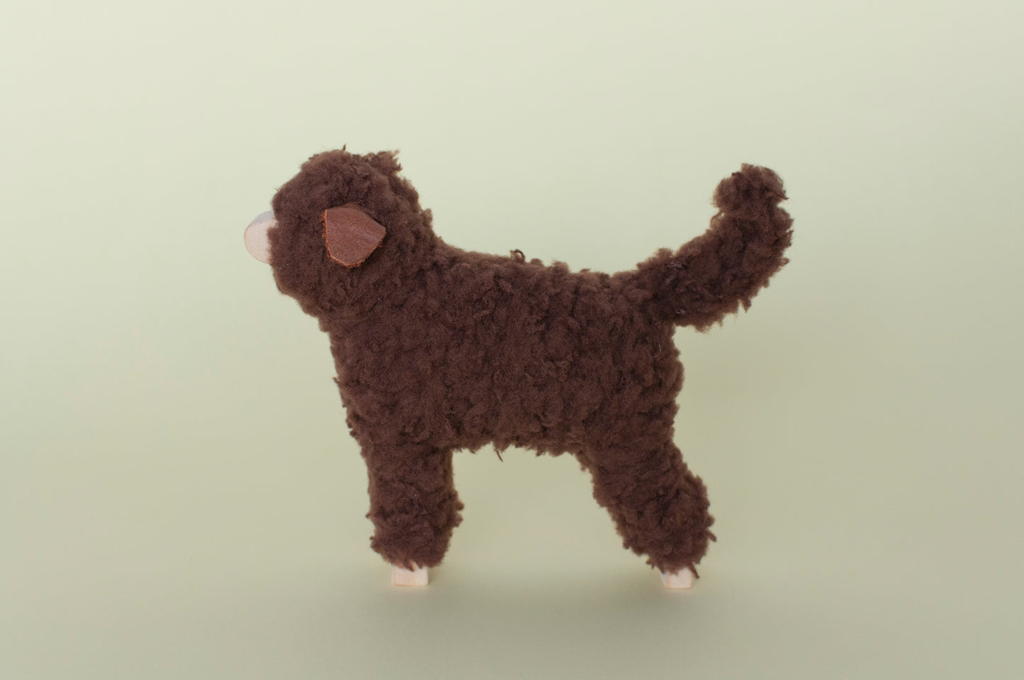 Labradoodle