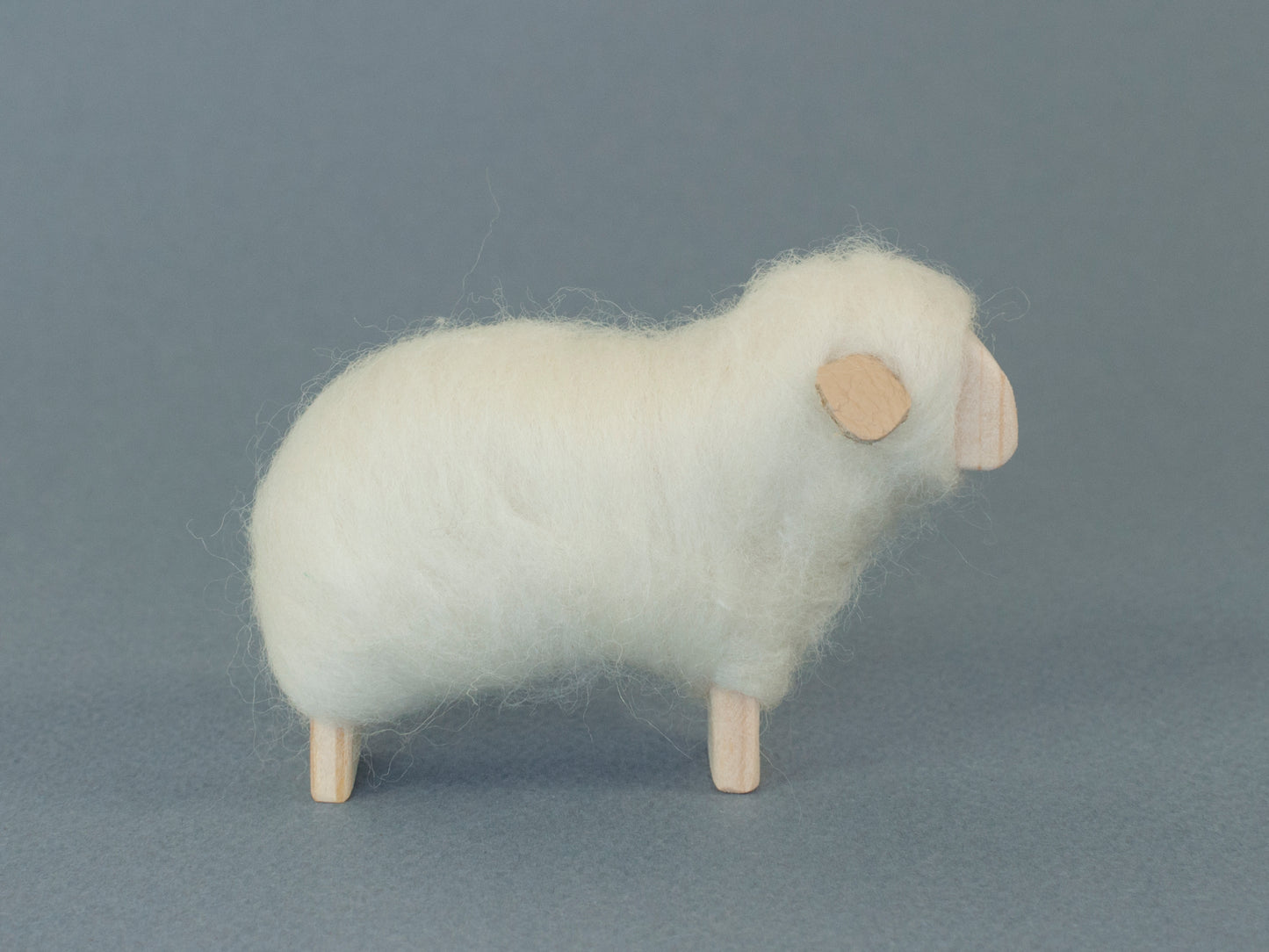 White sheep - round face
