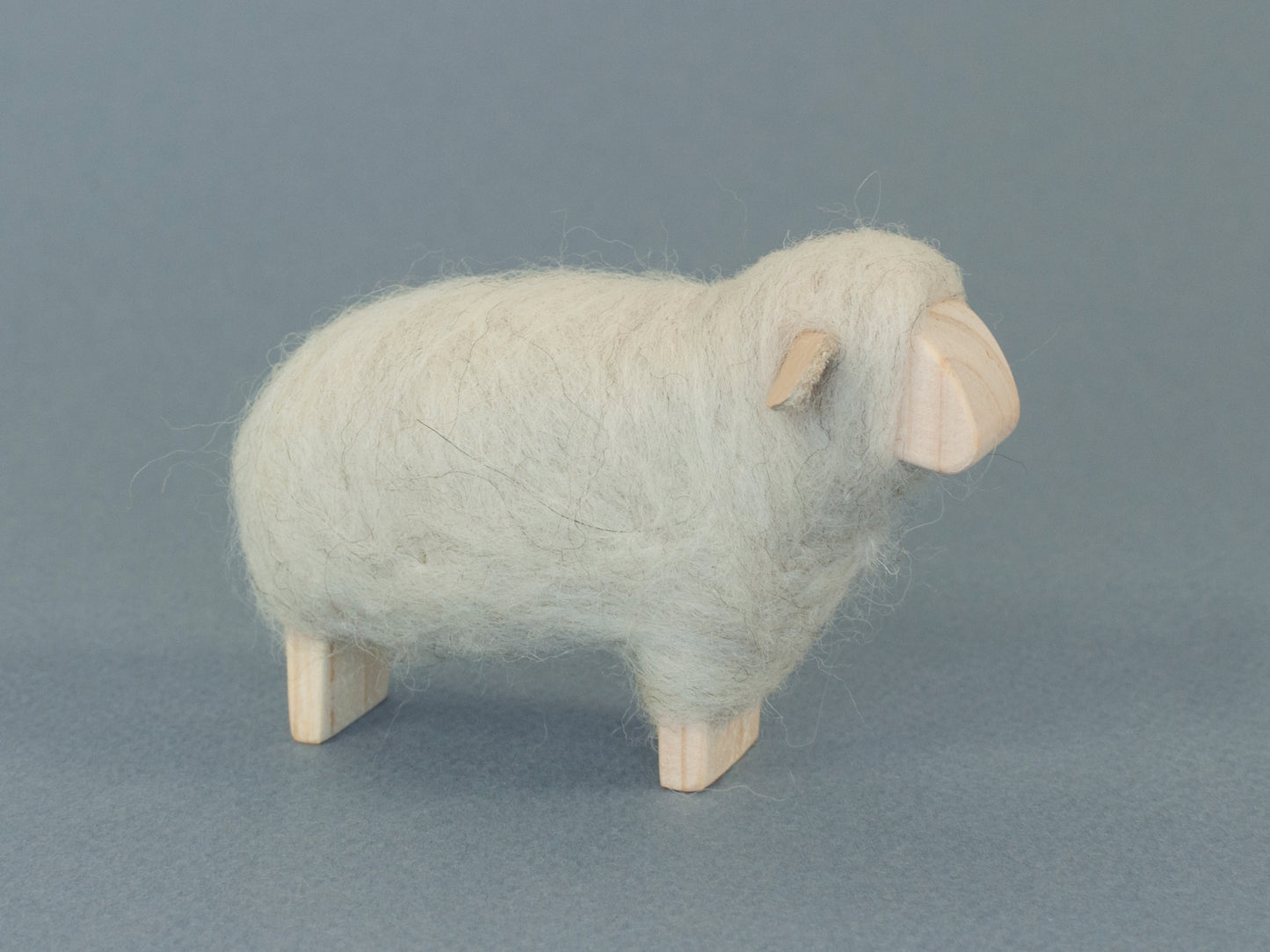 White sheep - round face