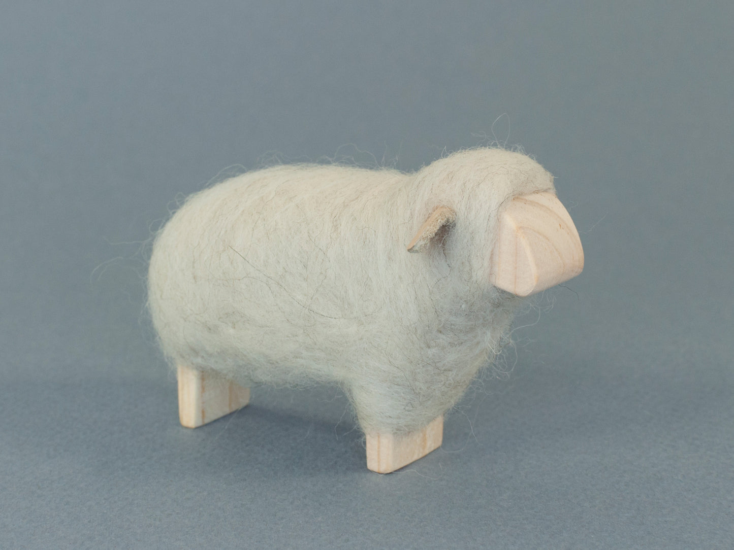 White sheep - round face