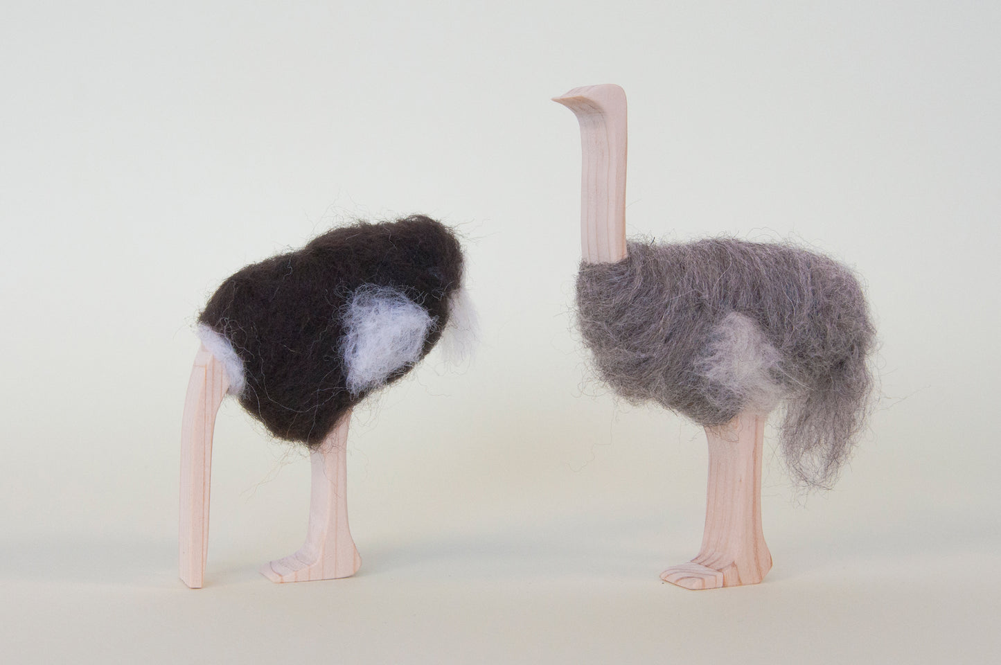 Ostrich - head in sand