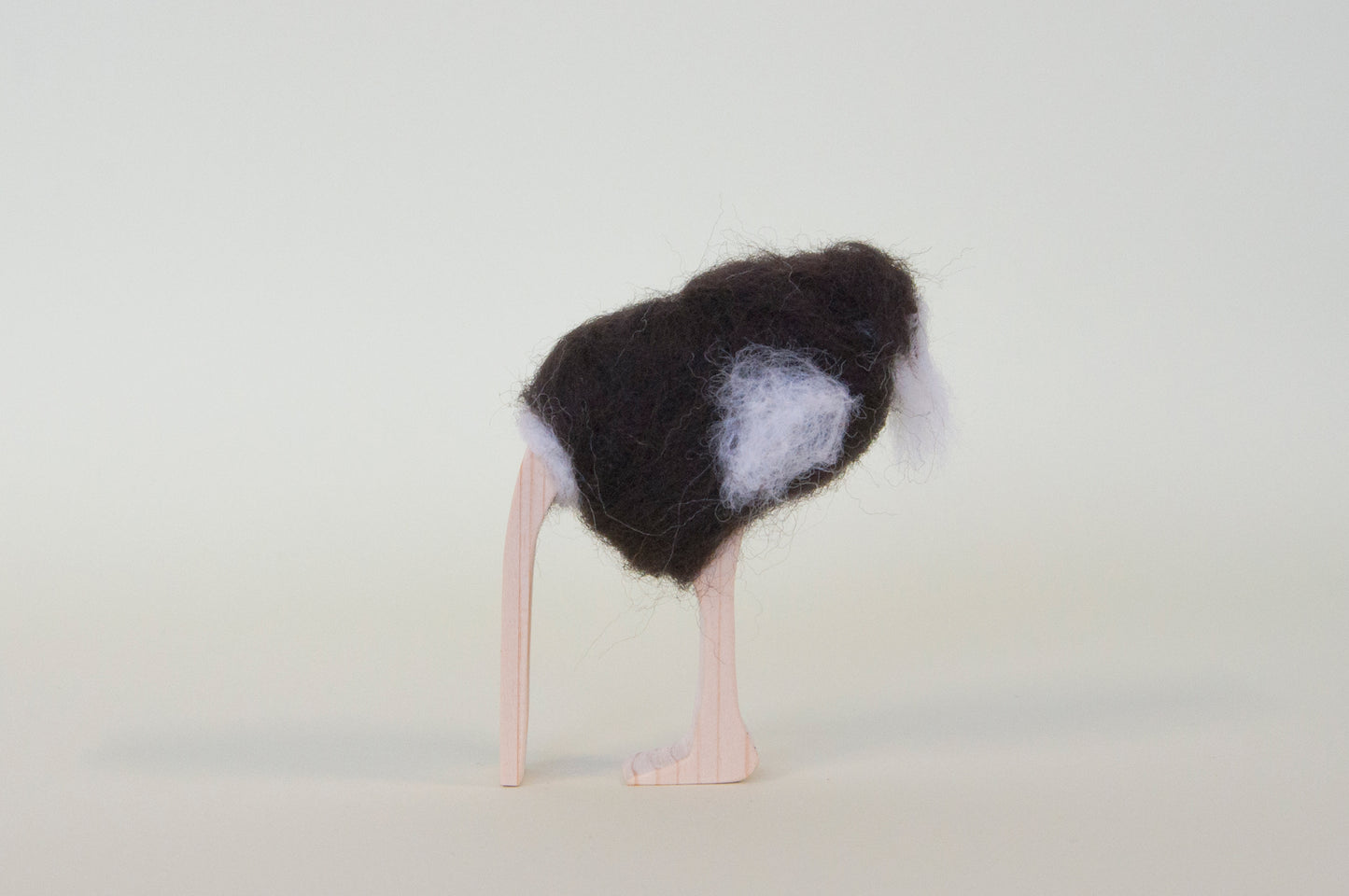 Ostrich - head in sand