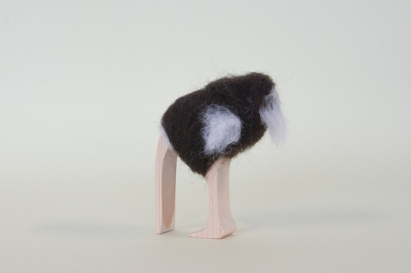 Ostrich - head in sand