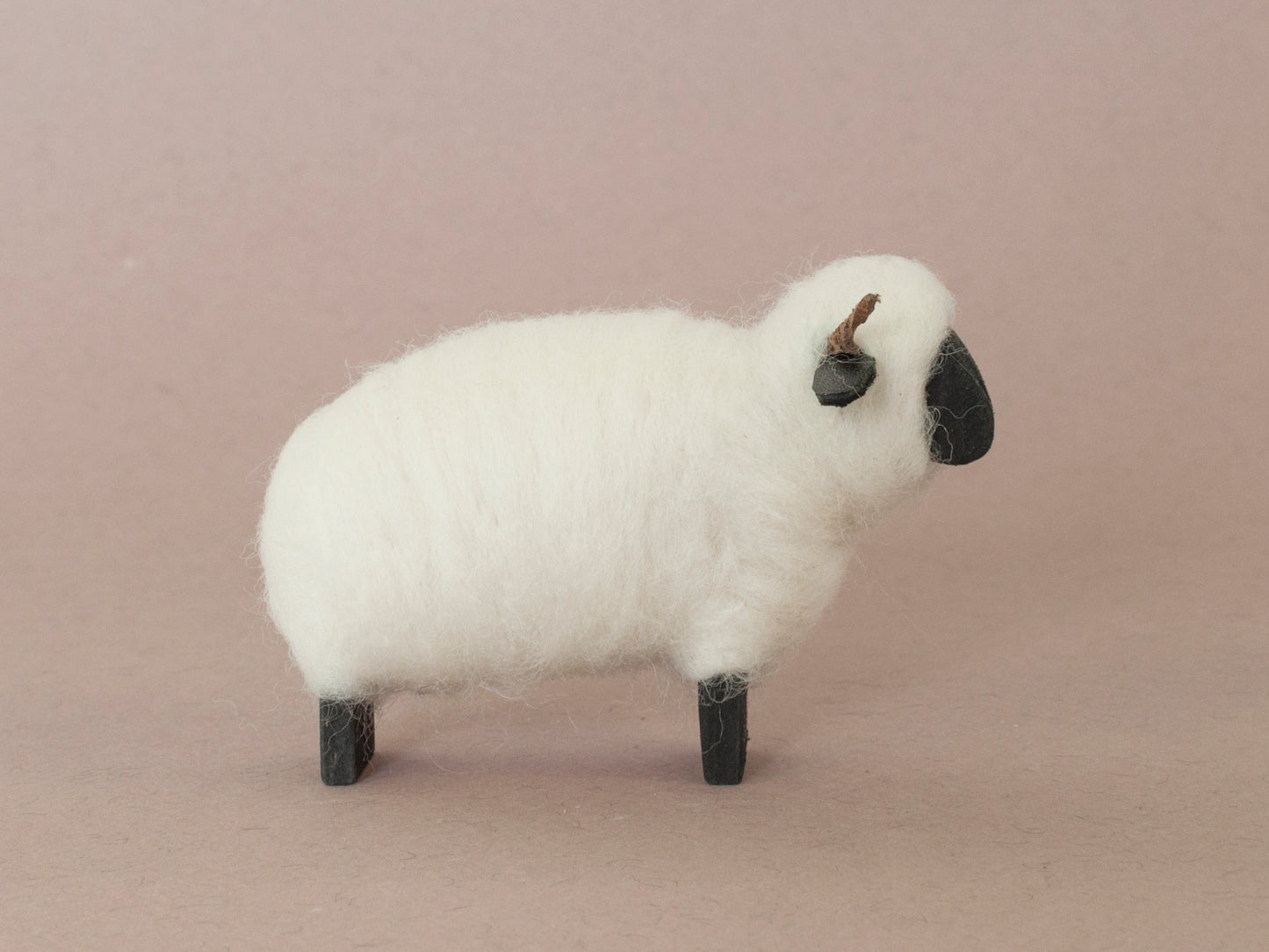 Valais Blacknose sheep